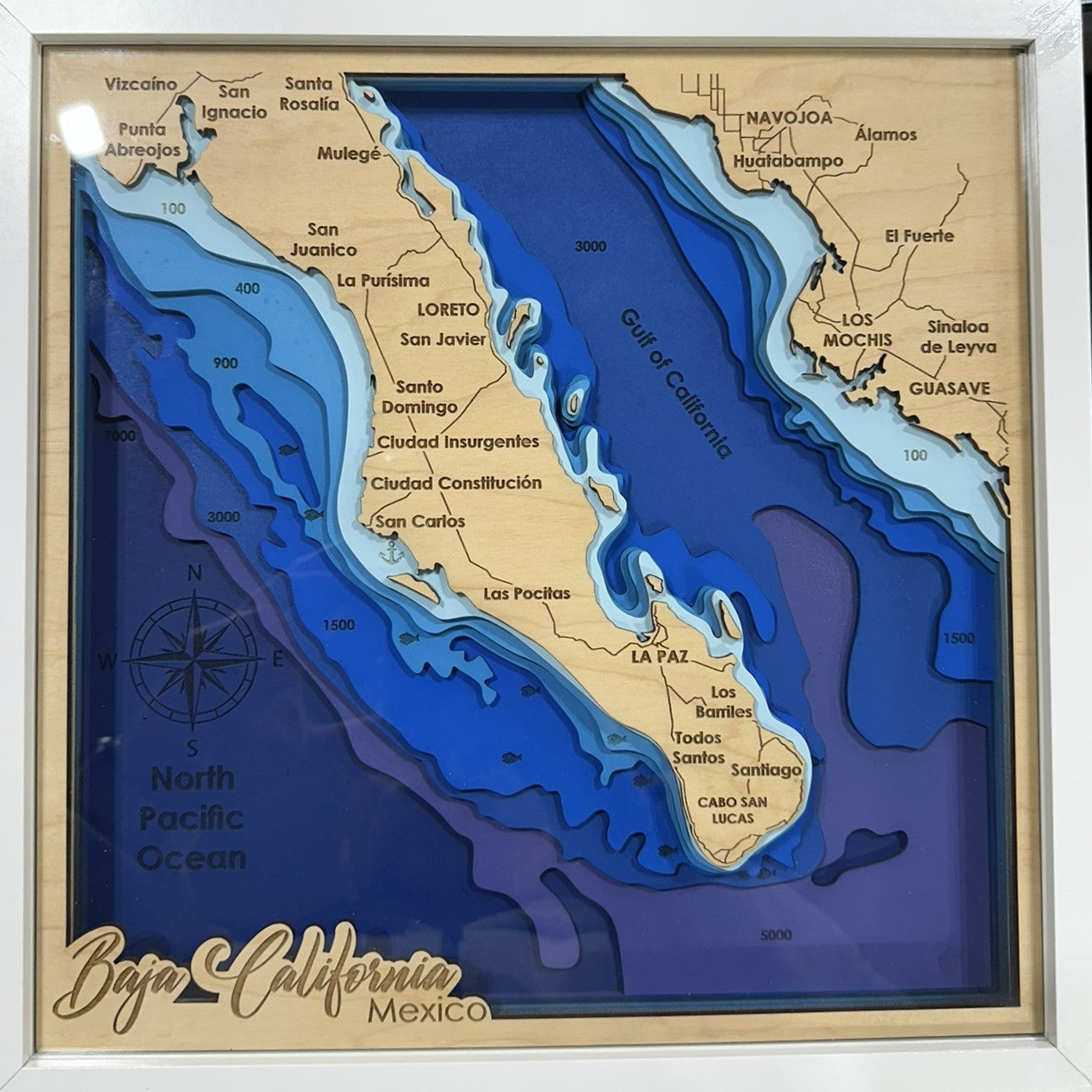 The Map Collection