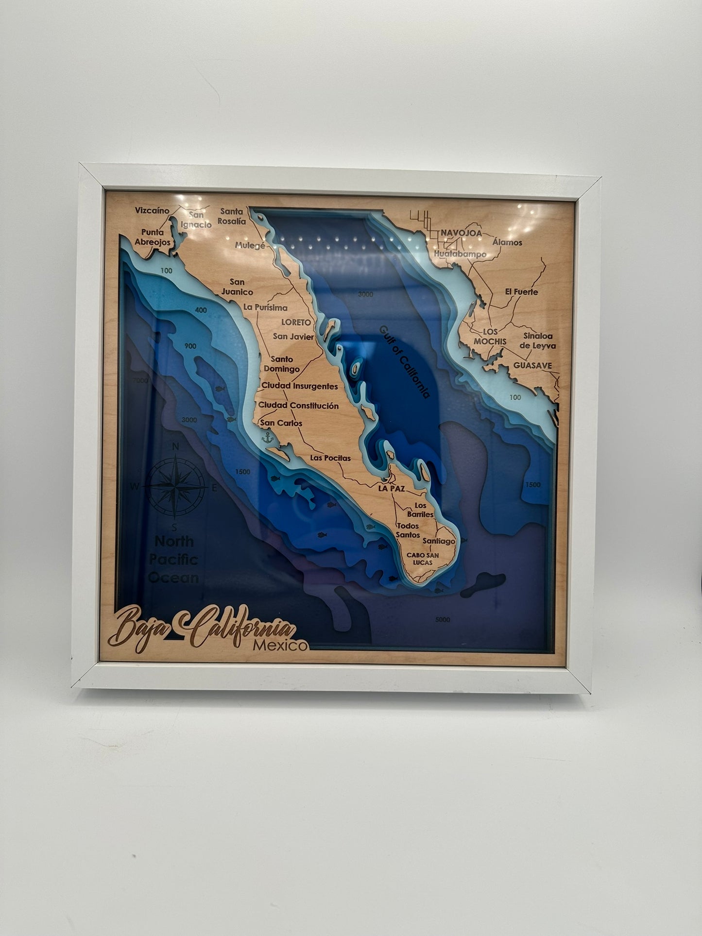The Map Collection
