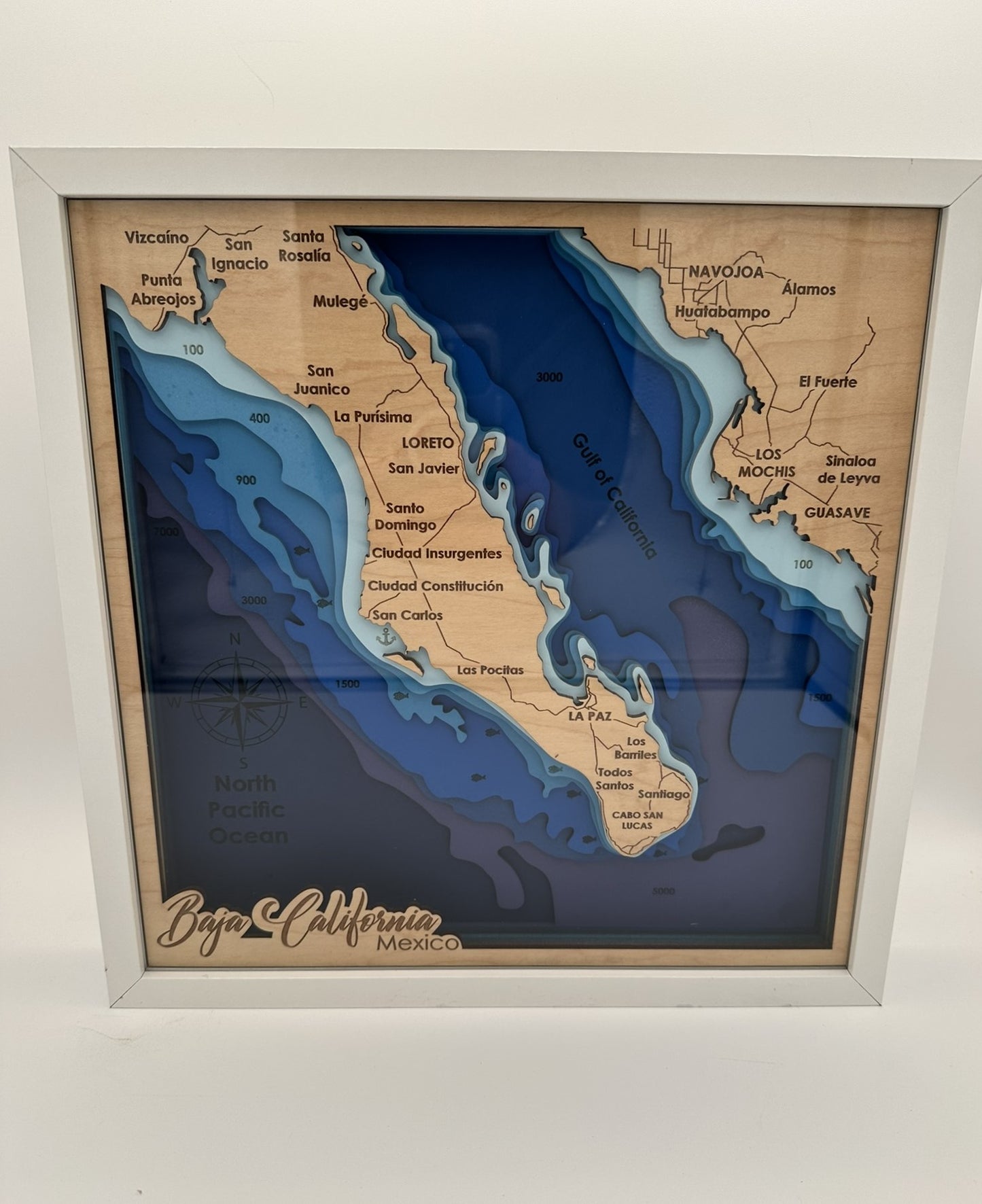 The Map Collection