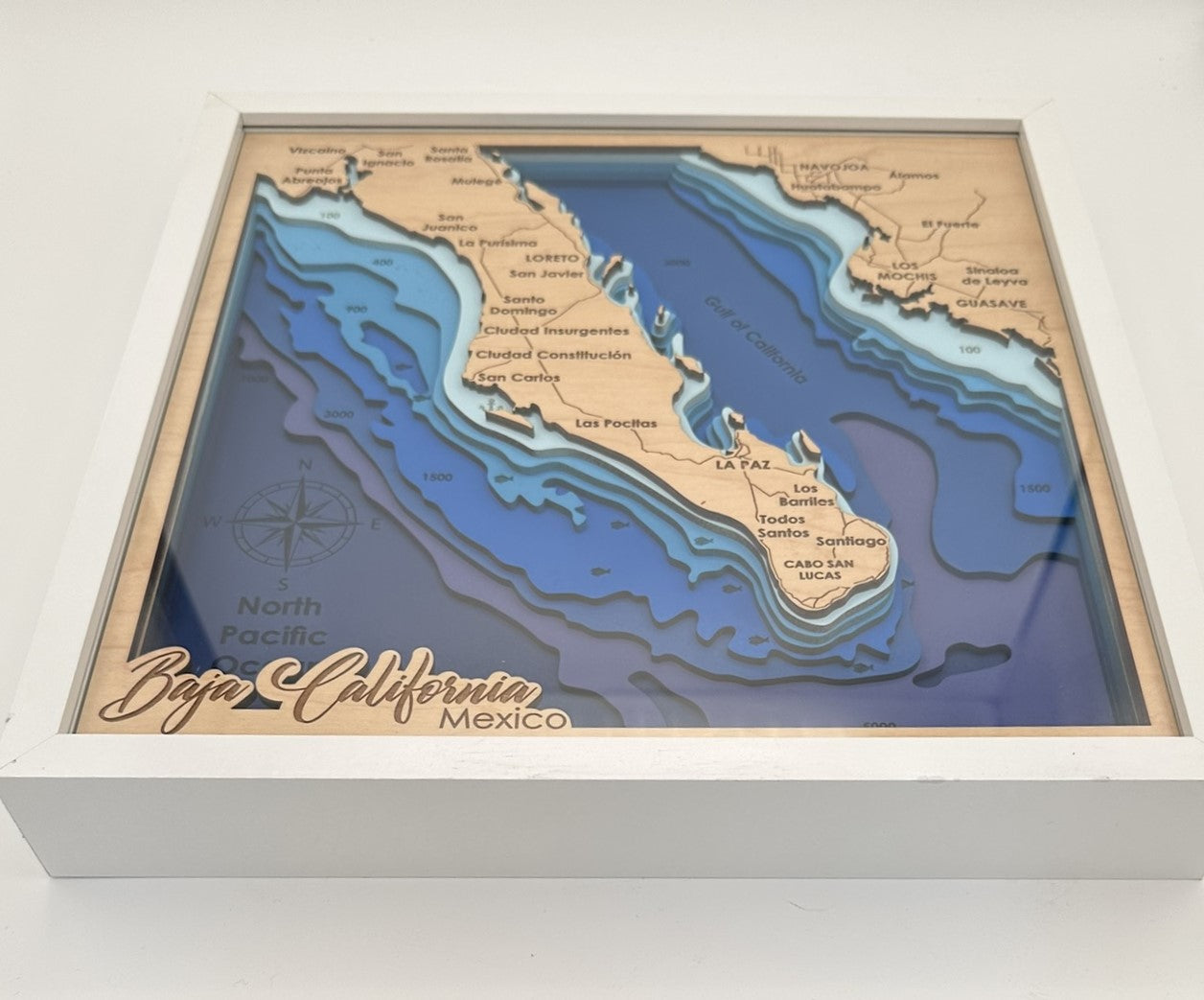 The Map Collection