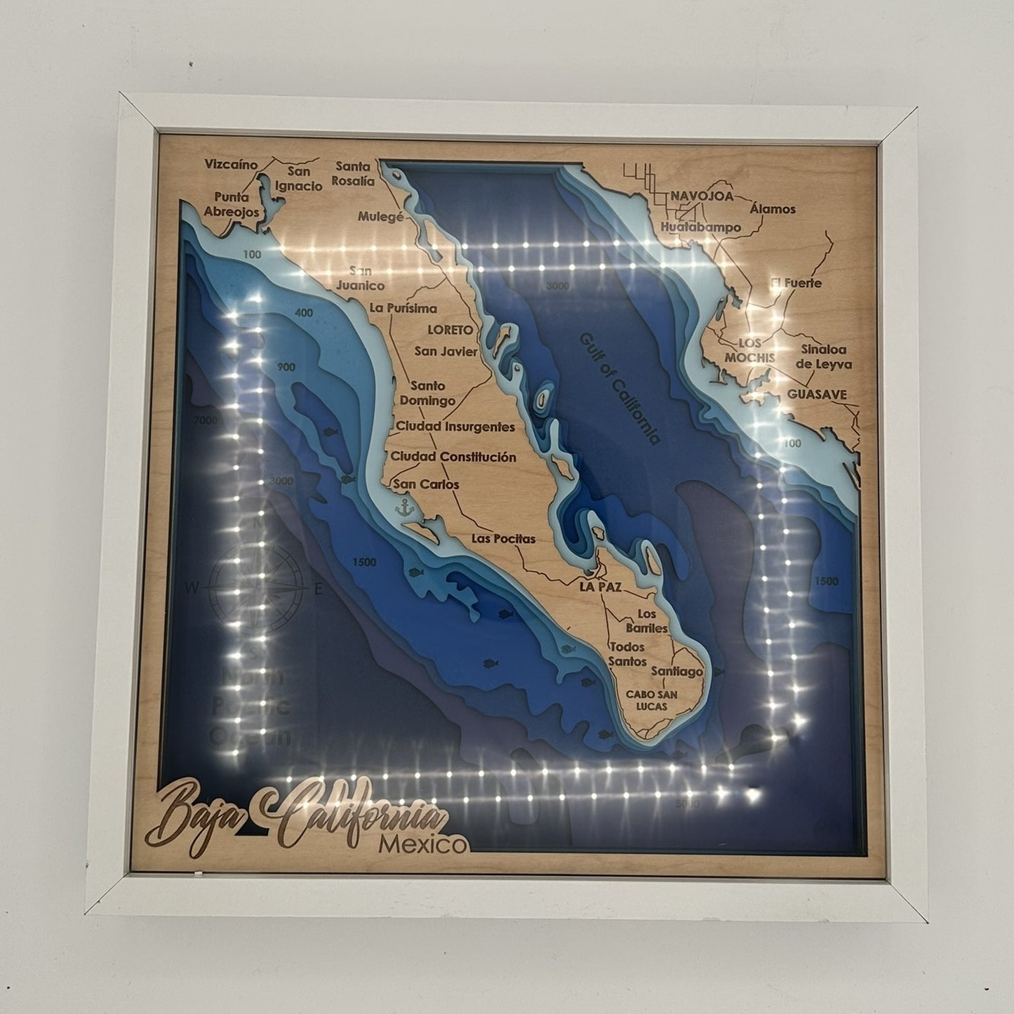 The Map Collection