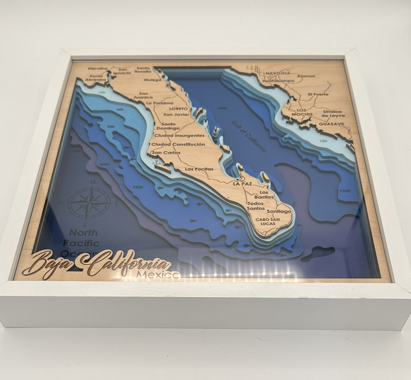 The Map Collection