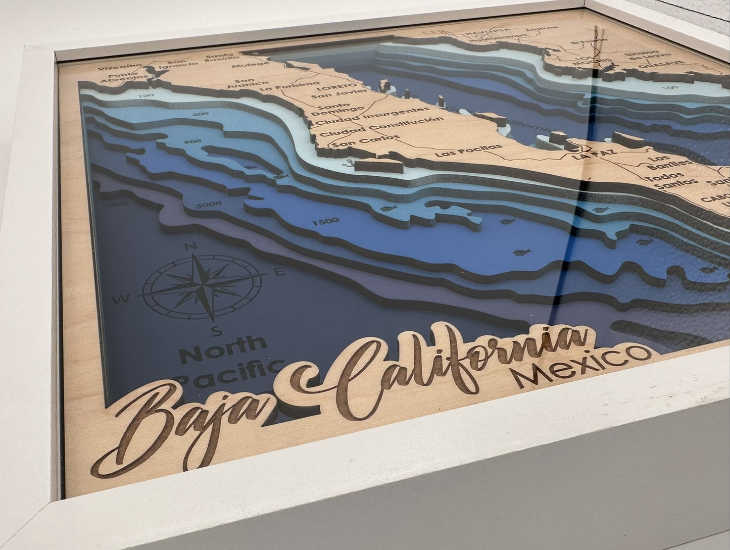 The Map Collection