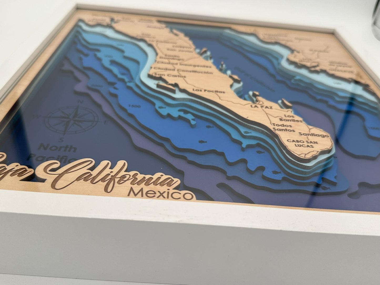 The Map Collection