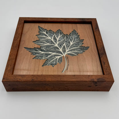 The "Artie" Collection