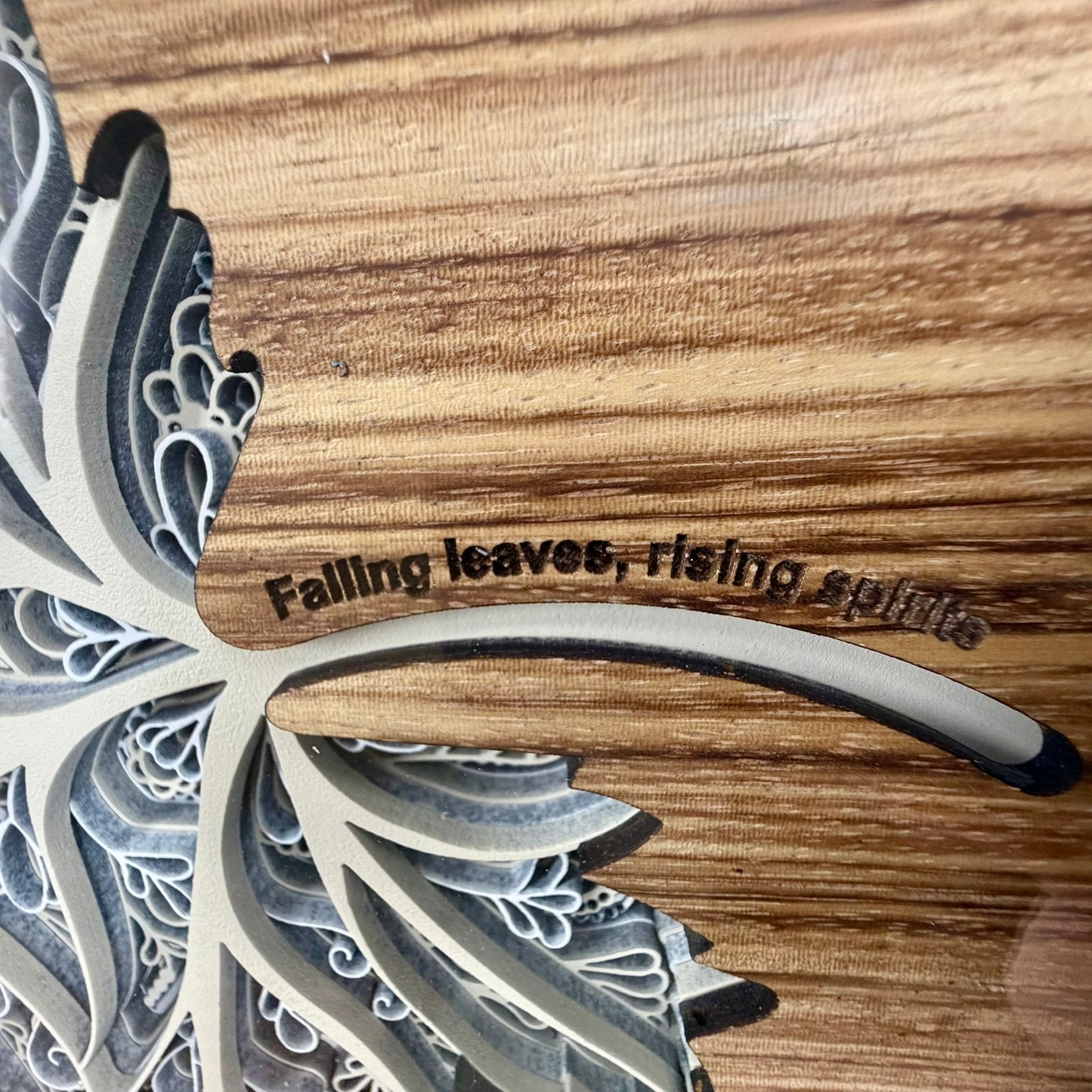 The "Artie" Collection