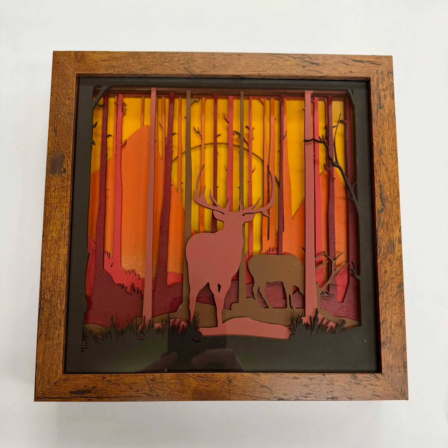 The "Artie" Collection