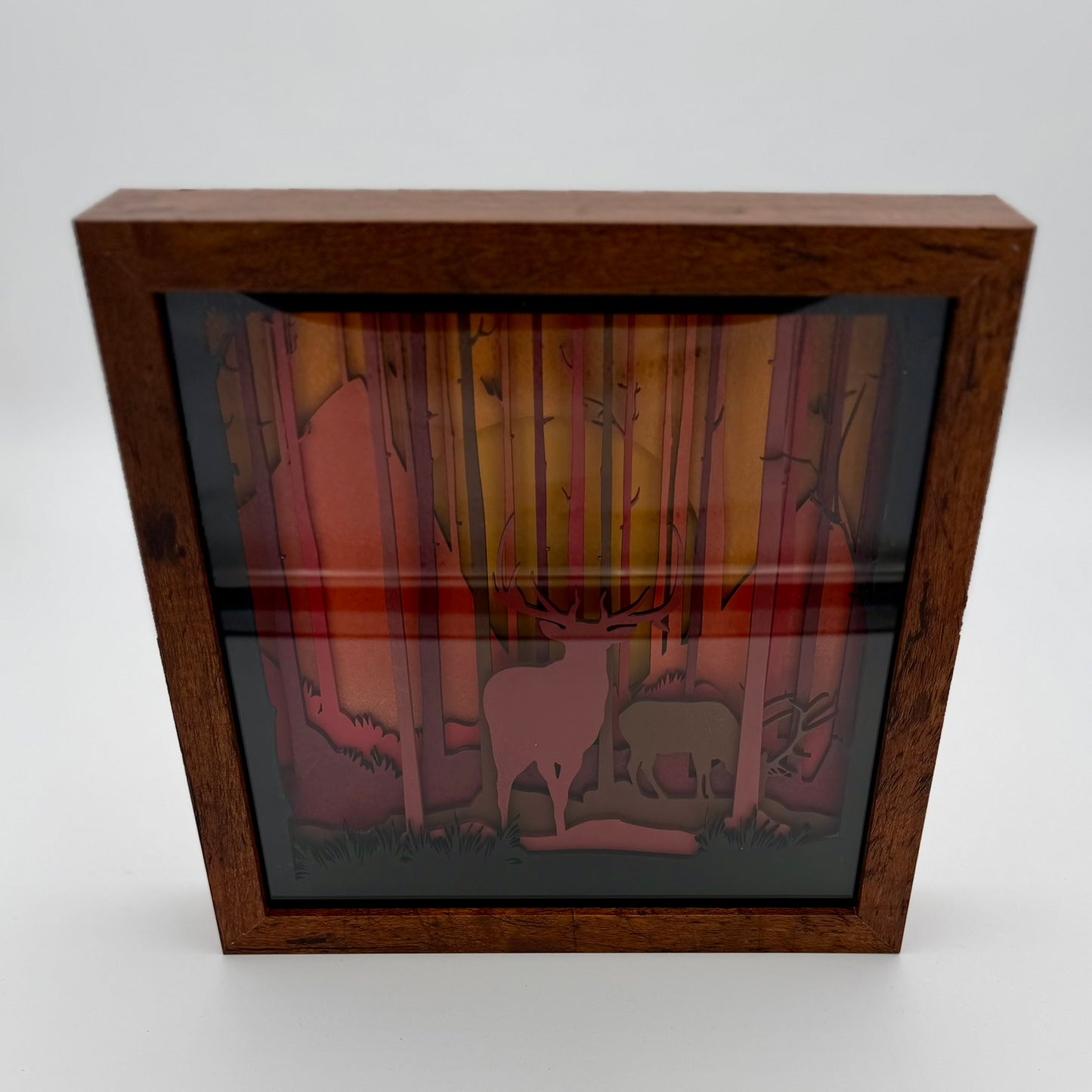 The "Artie" Collection