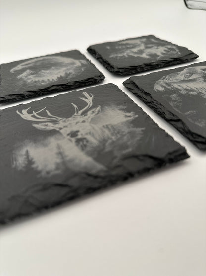 Animal Coasters