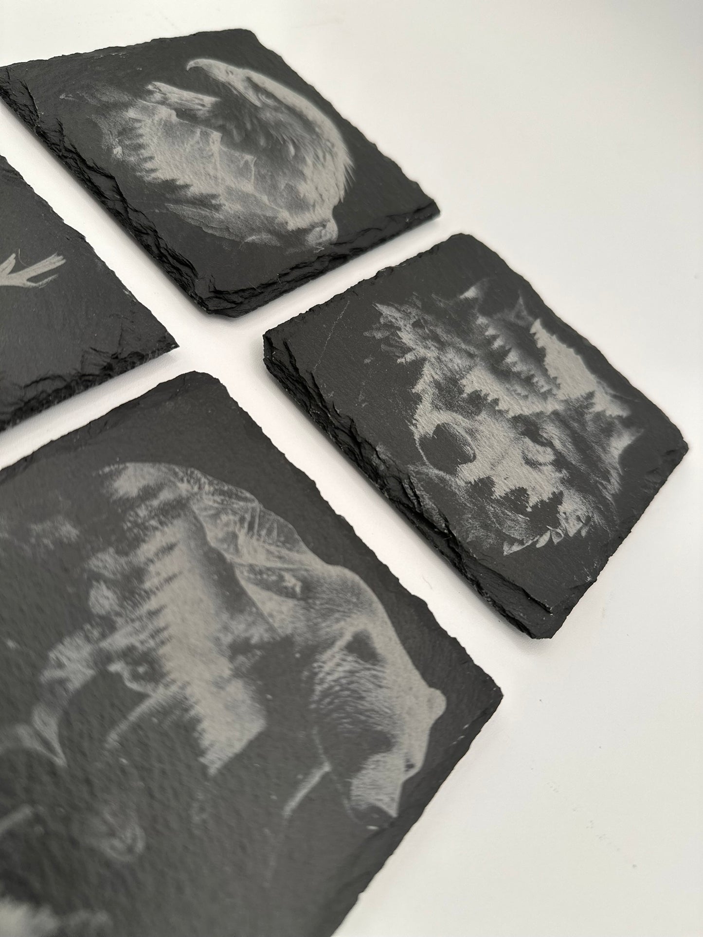 Animal Coasters