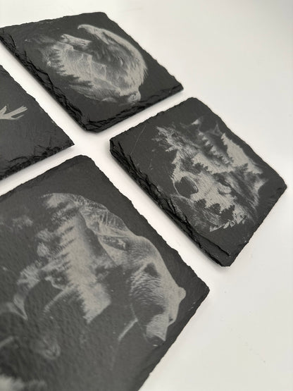 Animal Coasters