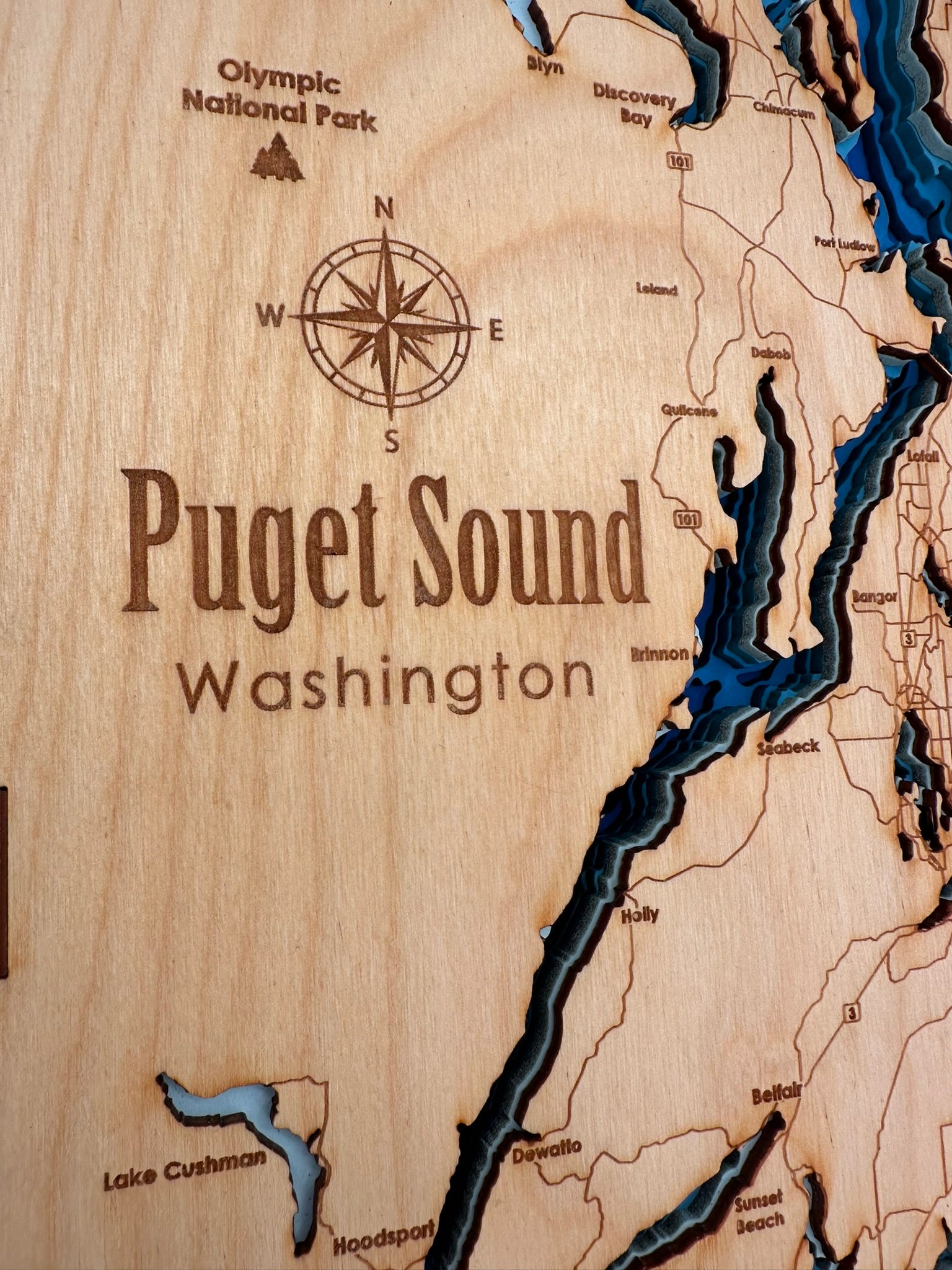 Bathymetric Map - Puget Sound